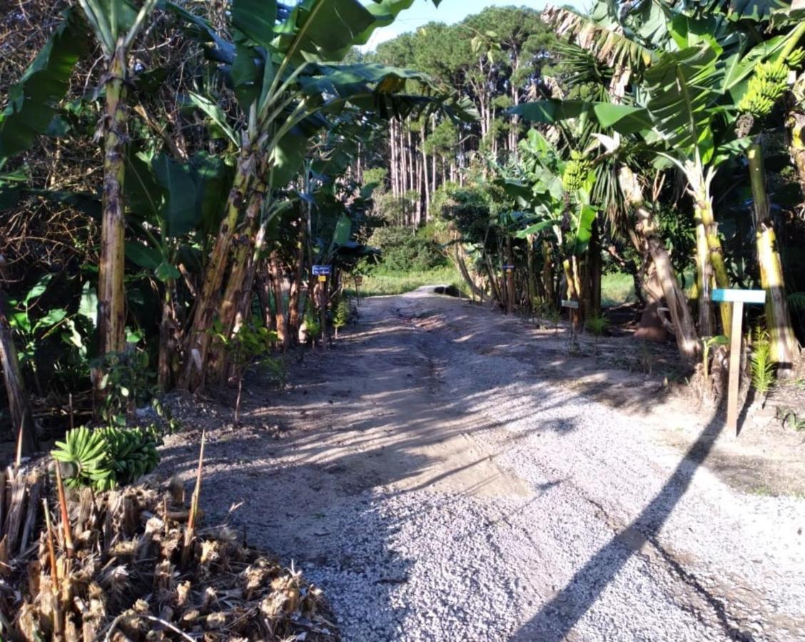 Bangalos Florianópolis Eksteriør billede